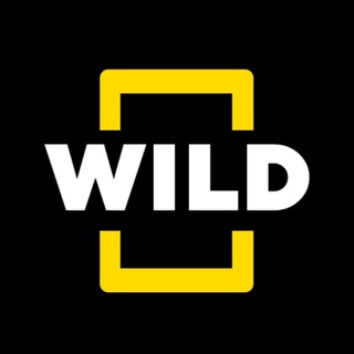 Logo of the Telegram channel Nat Geo WILD