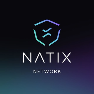 Логотип телеграм группы NATIX Network