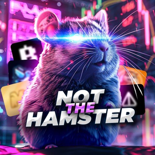 Логотип телеграм канала Not The Hamster 🐹