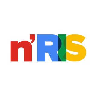 Logo of the Telegram channel n’RIS | Защита авторских прав