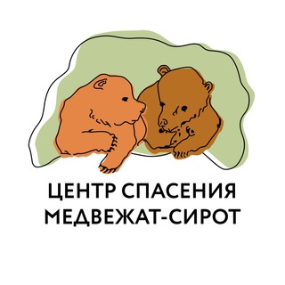 Logo of the Telegram channel OBRCRussia