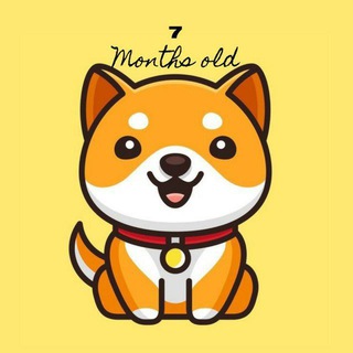 Логотип телеграм бота Baby Doge Coin Free