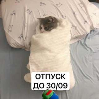 Photo of the private contact Olga Mulyukina on Telegram