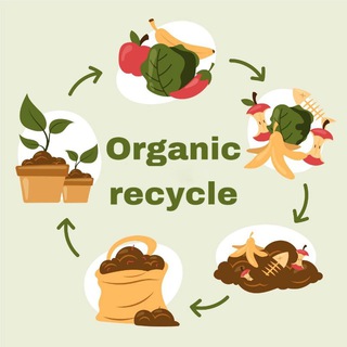 Logo of the Telegram channel Organic recycle