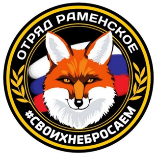 Logo of the Telegram group ОТРЯД РАМЕНСКОЕ #СвоихНеБросаем🇷🇺