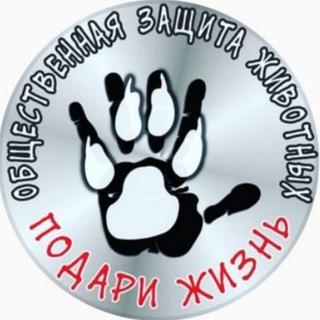 Логотип телеграм канала Подари Жизнь🐶🐶🐶🐱