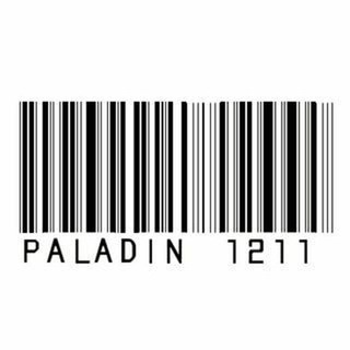 Logo of the Telegram channel PALADIN_1211