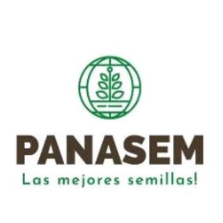 Photo of the private contact PANASEM on Telegram