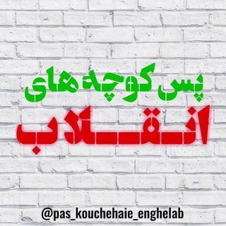 Логотип телеграм канала پس کوچه های انقلاب(به قلم دکتر محمدصادق کوشکی)