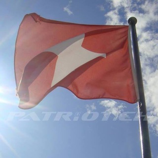 Logo of the Telegram group Patriot.ch official🇨🇭💯