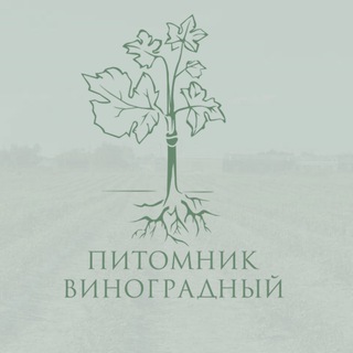 Logo of the Telegram channel Питомник Виноградный