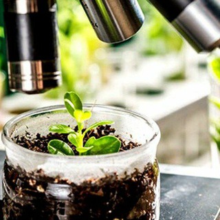 Логотип телеграм канала Plant Protection science 🌱🦠🔬