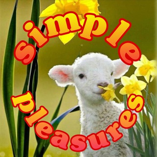 Logo of the Telegram channel Simple Pleasures