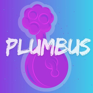 Logo of the Telegram channel PLUMBUS - ALL OR NOTHING