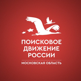 Logo of the Telegram channel Поисковое движение России в Московской области