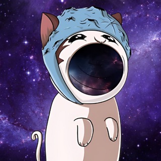 Logo of the Telegram channel $POCO - POP CAT METEOR