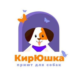 Logo of the Telegram channel Приют «КирЮшка» г. Киров