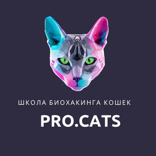 Logo of the Telegram channel PRO.CATS | Школа биохакинга кошек