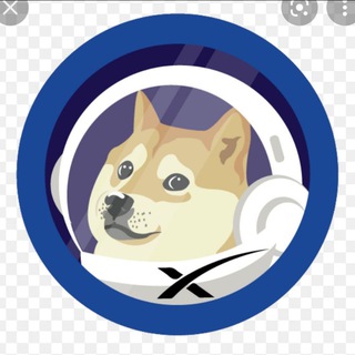 Logo of the Telegram group Doge X