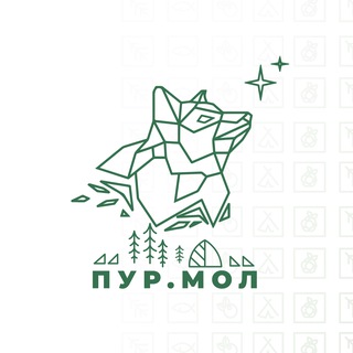 Logo of the Telegram channel ПУР.МОЛ | Медиаканал Пуровского района