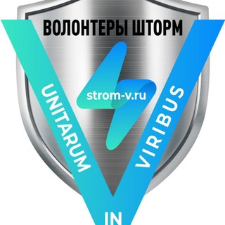 Logo of the Telegram channel РОО "Волонтёры ШТОРМ"