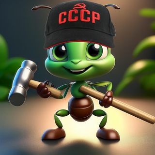 Photo of the private contact Роман on Telegram