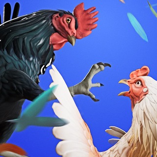 Логотип телеграм группы Rooster Fights Club