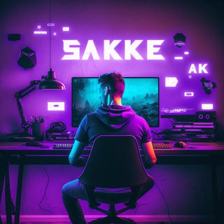 Photo of the private contact 0xSakkE on Telegram