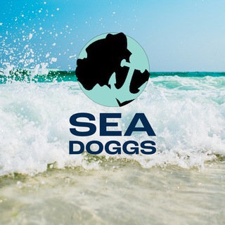 Logo of the Telegram channel SeaDoggs Portal