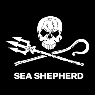 Logo of the Telegram channel Sea Shepherd Conservation Society on Telegram by GRT : mission is to protect and conserve the world's oceans and marine wildlife