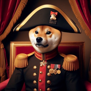 Photo of the private contact SHIBA Napoleon on Telegram