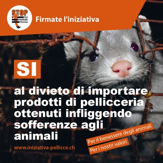 Logo of the Telegram channel Sì al divieto di importare prodotti di pellicceria / di foie gras / una limitazione dei fuochi d’artificio