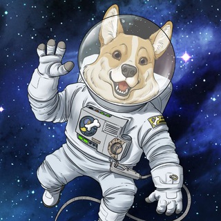 Logo of the Telegram group SpaceCorgi Official Discussion