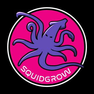 Логотип телеграм группы SquidGrow Official