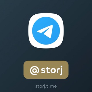 Логотип телеграм канала Storj