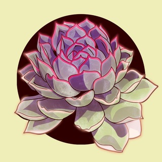 Logo of the Telegram group Chat of Succulents Dreams TON NFT