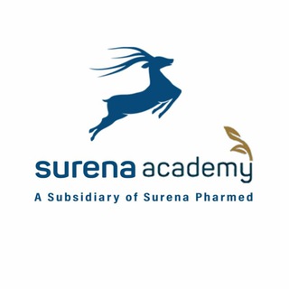 Логотип телеграм канала Surena Academy