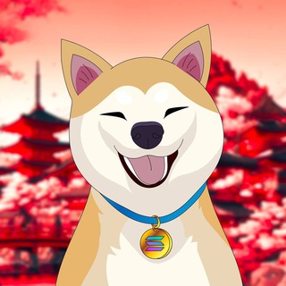 Logo of the Telegram channel $TARO | Most Beloved Shiba Inu | CTO