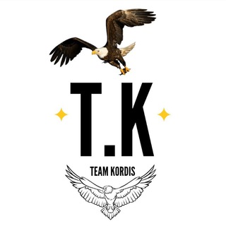 Logo of the Telegram channel TEAM KORDHIS