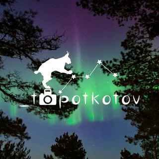 Logo of the Telegram channel _topotkotov