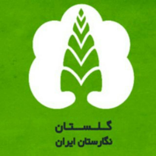 Logo of the Telegram channel گلستان تی‌وی