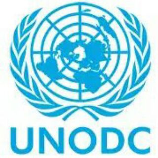 Logo of the Telegram channel UNODC