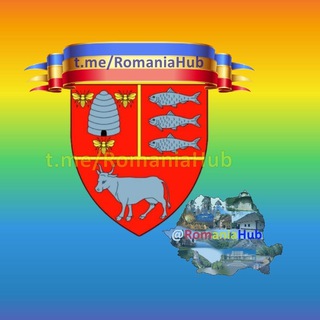 Логотип телеграм группы Vaslui - Romania