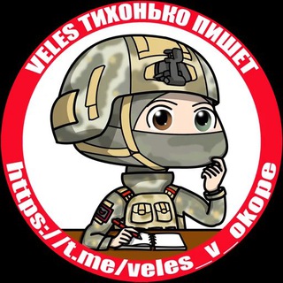 Logo of the Telegram group Библиотека VELESa