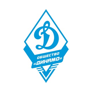 Логотип телеграм канала VFSODYNAMO