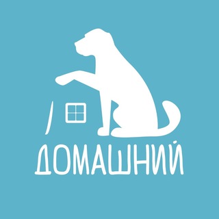 Logo of the Telegram channel Takedog