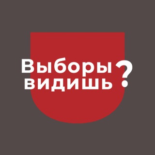 Логотип телеграм канала Выборы видишь? | Зеркало Политика