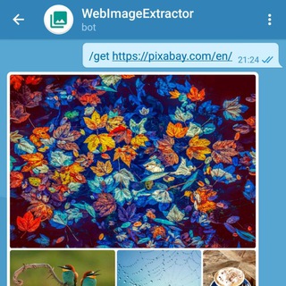 Логотип телеграм канала WebImageExtractor机器人