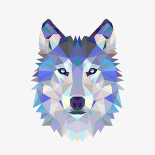 Логотип телеграм группы Wolf Mega +700 ♾️