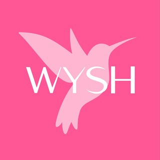 Logo of the Telegram channel WYSH